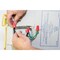 Gardner Bender WireGard 6 Wire Connector, 18 to 10 AWG Wire, Steel Contact, Polypropylene Housing Material, Red 10-006 - alternate 8